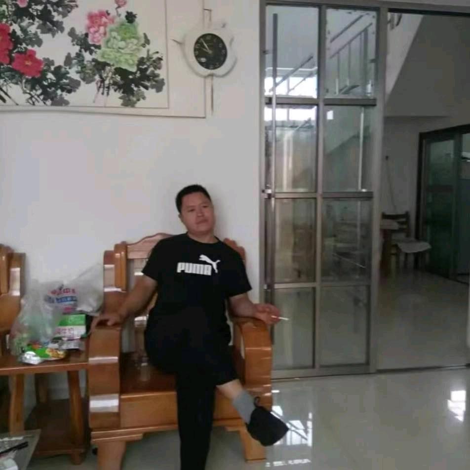 dianba86102