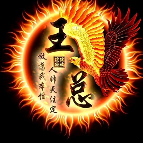 优选推客财富站