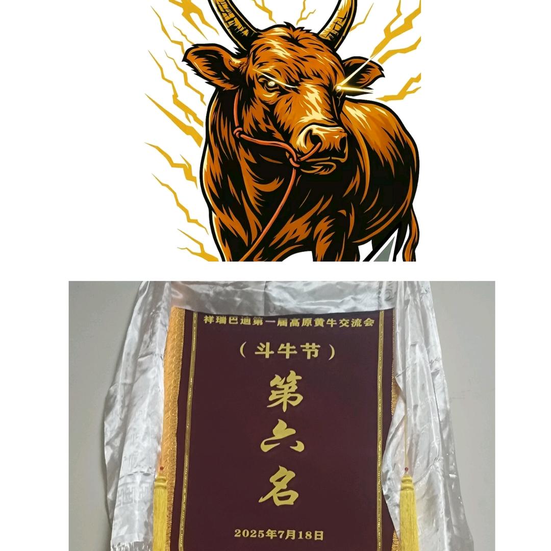 纳茸战队-001红森
