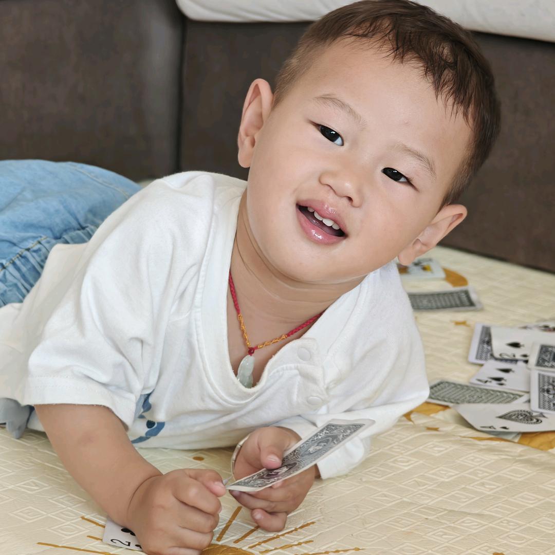 可乐崽的成长记录