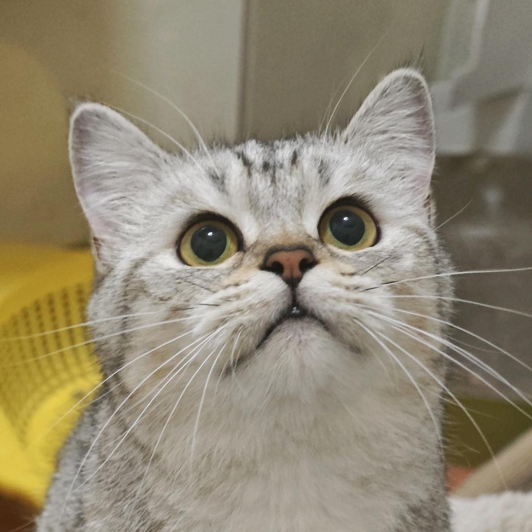 =v=