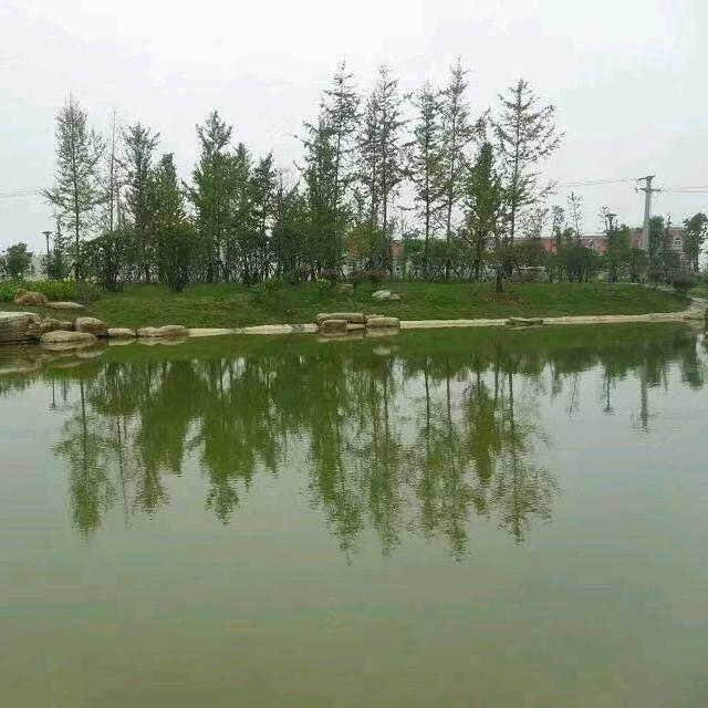以燃的香烟