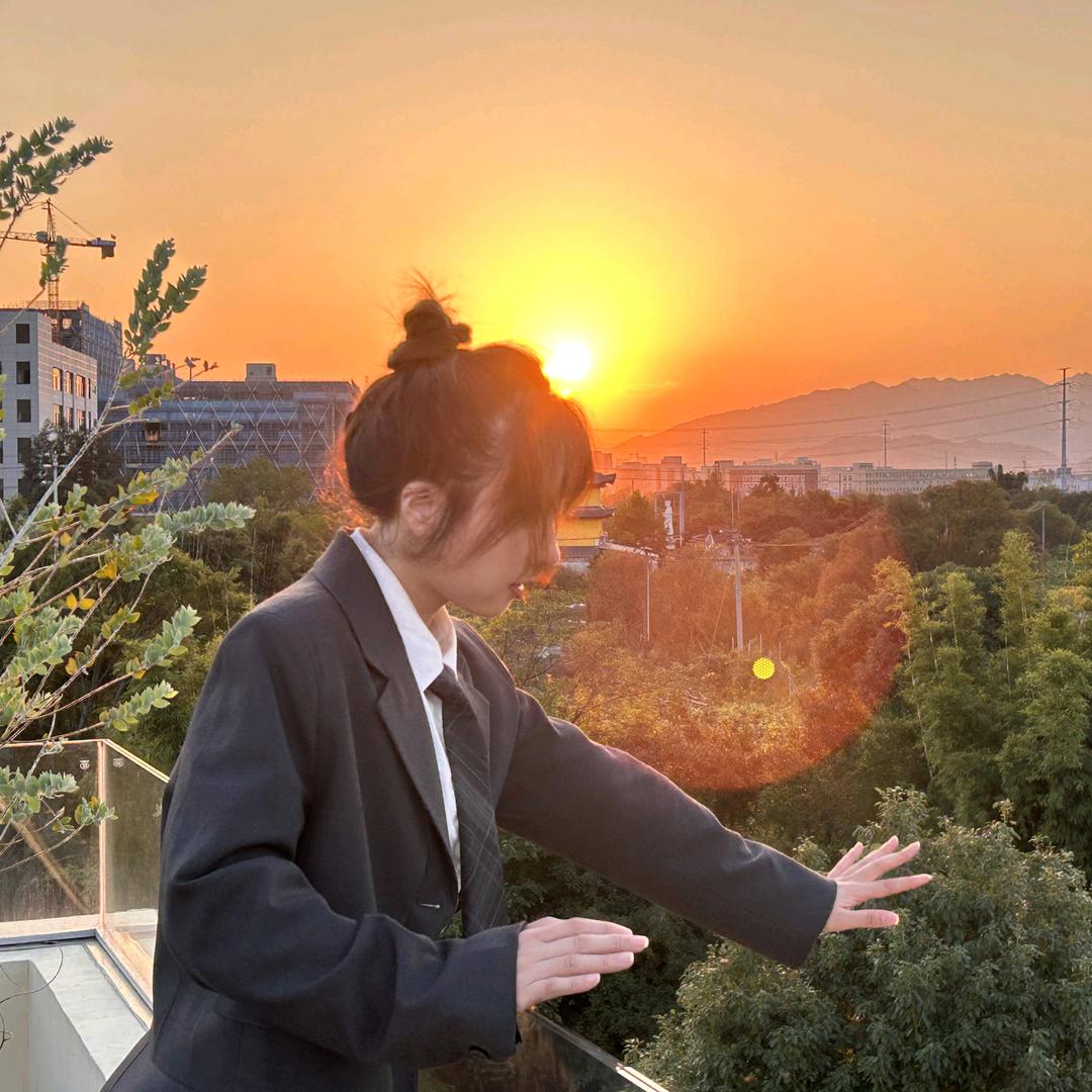 一只小丁