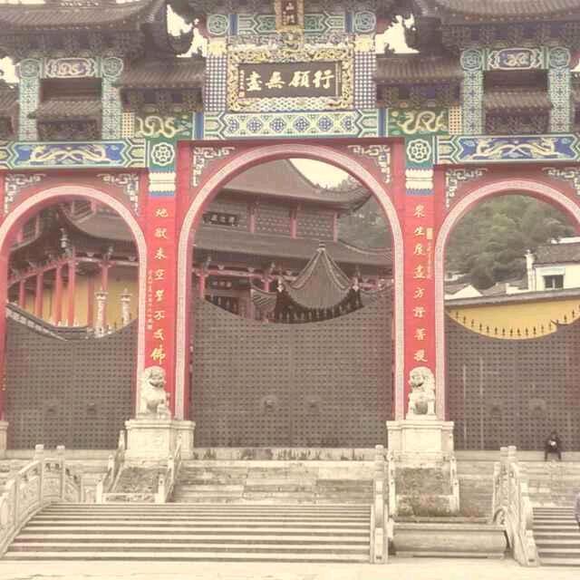 一花一菩提一茶一世界