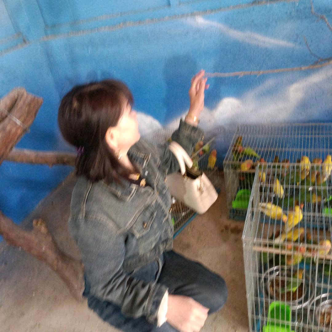 美