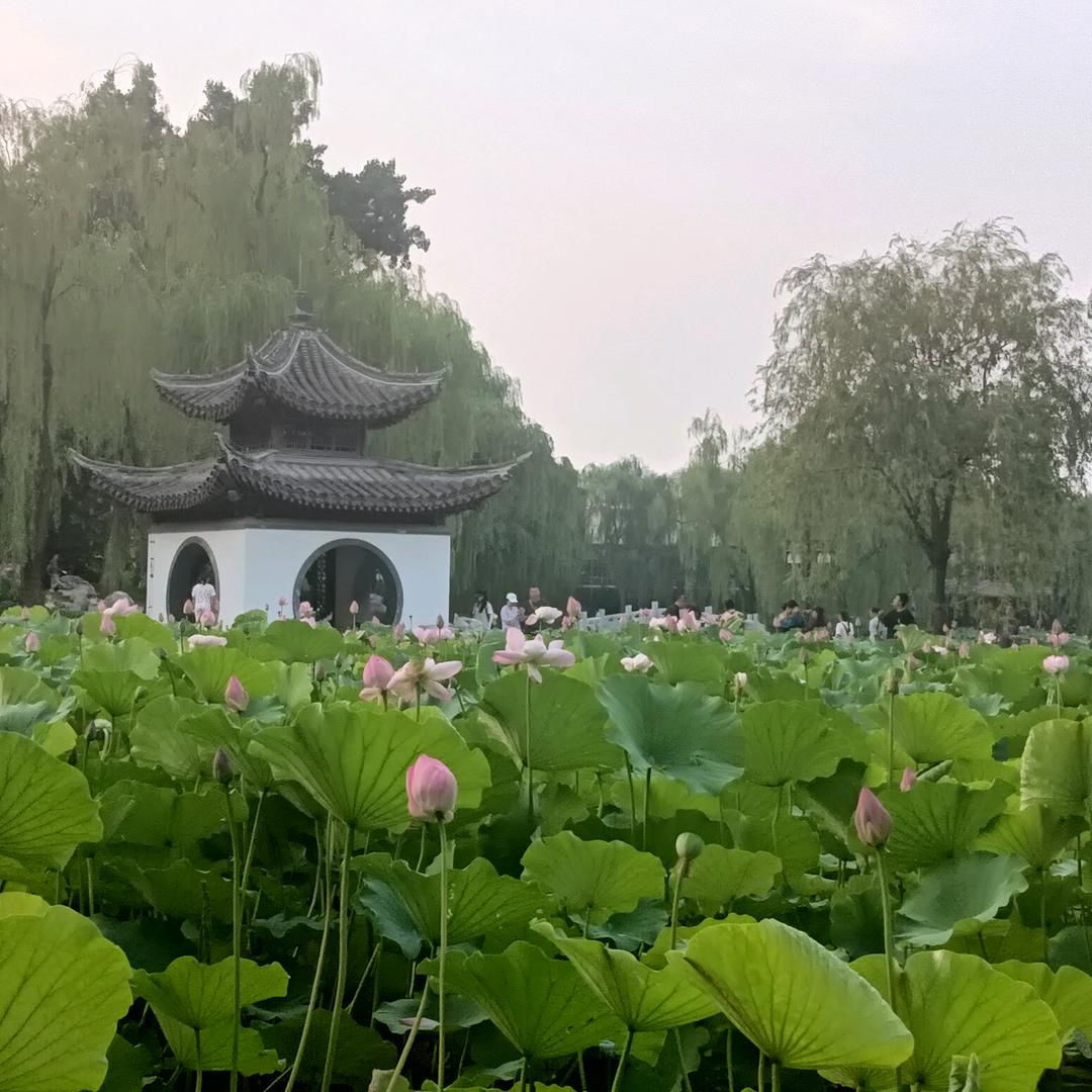 砚晨