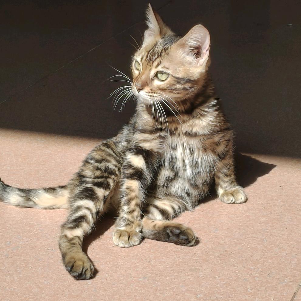 重生之九十二岁变态老蟑螂调戏八十九岁奶狗