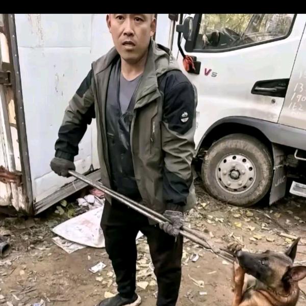 AAA～专业套狗罗师傅
