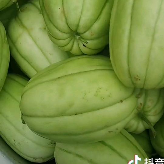 老张水瓜香瓜