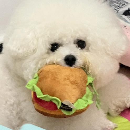 ૮₍ꐦ -᷅ ⤙ -᷄ ₎ა!!