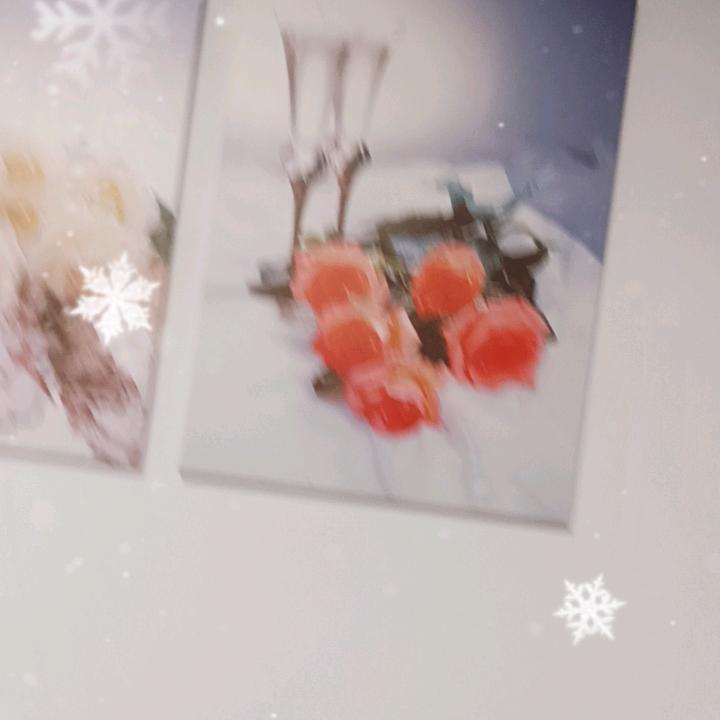坚强的心