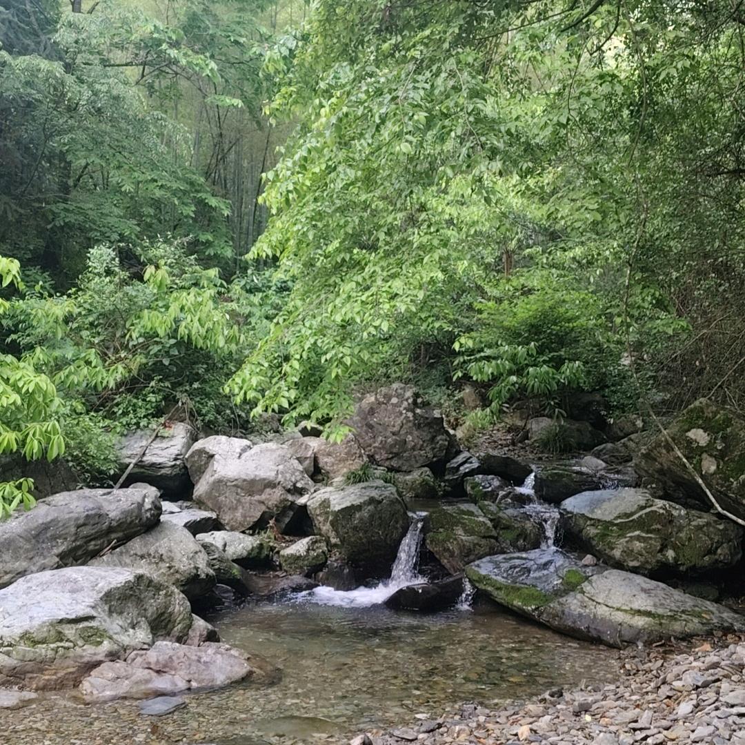 山里老农