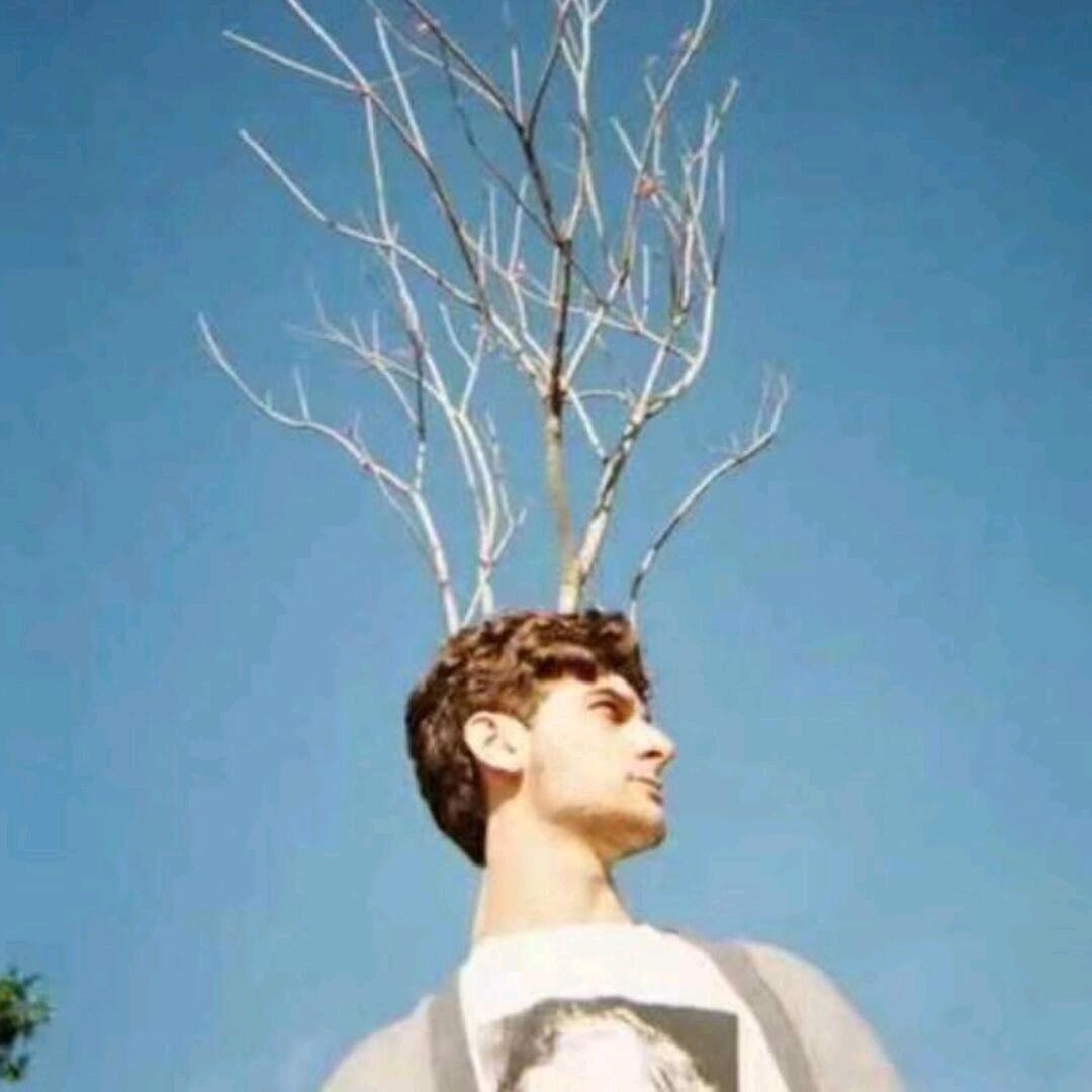 趁在