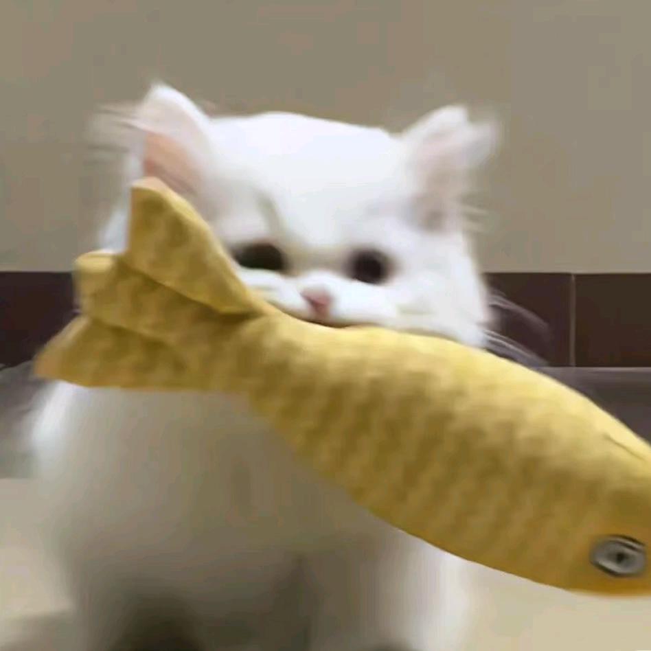 赖床猪