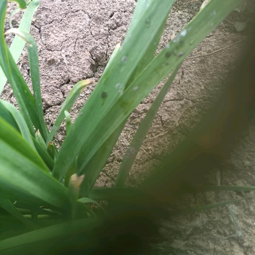 那点才是我的归宿