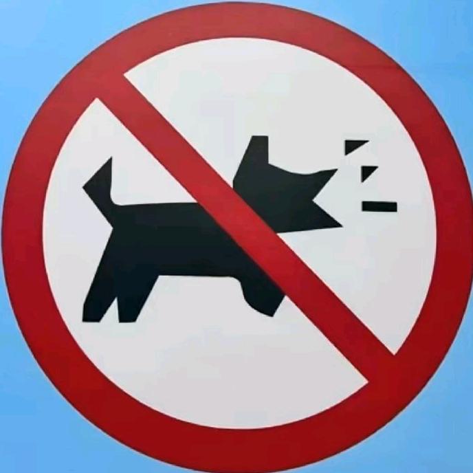 母子洋芋逮伤了