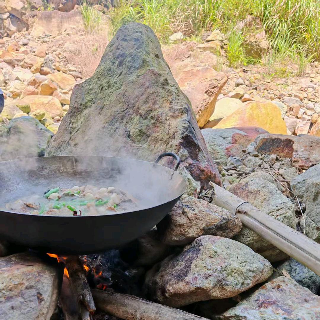 叶子姐姐的野炊日记