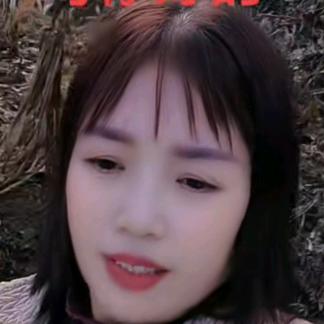 白鹊山珍姐民宿
