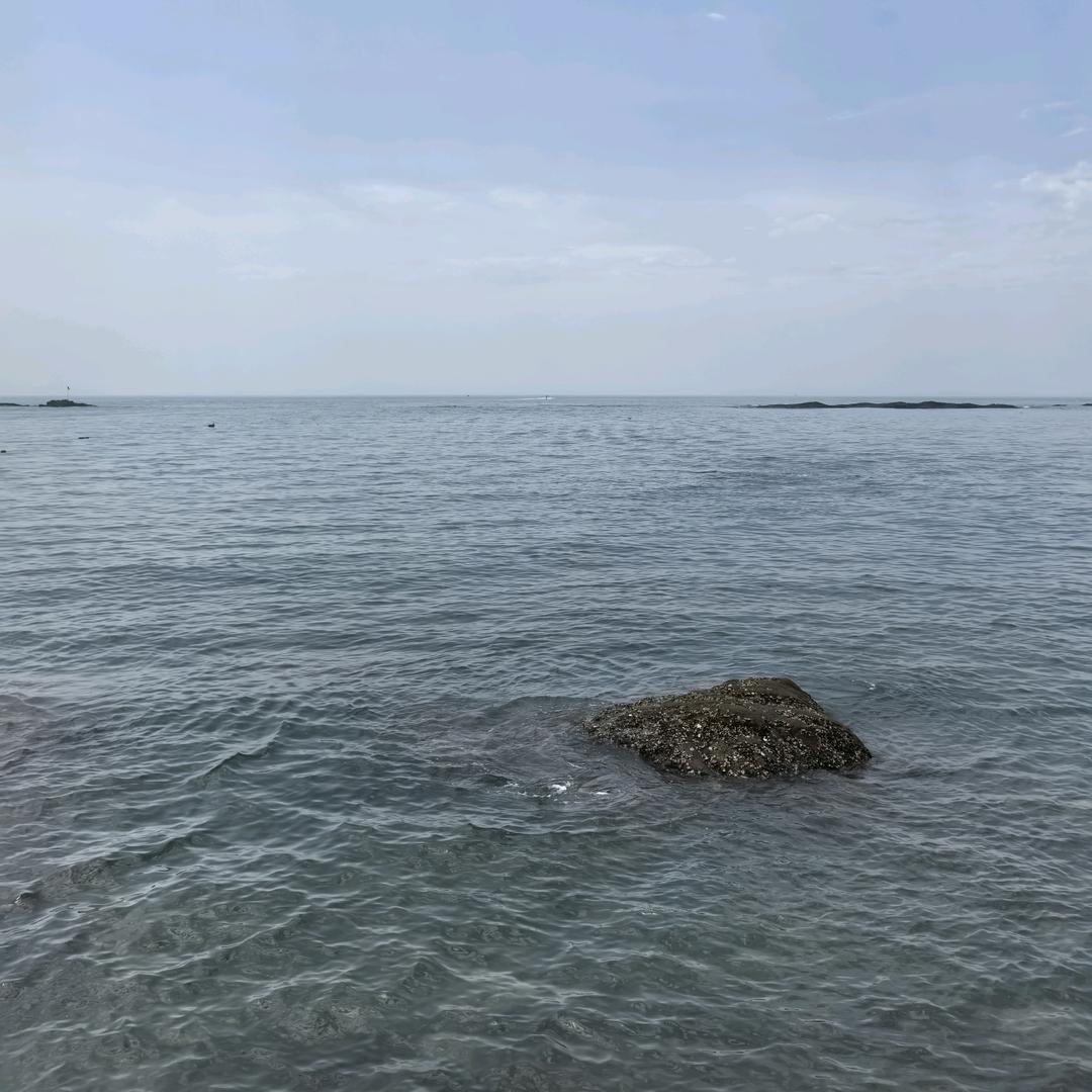 哭了谁疼🍃