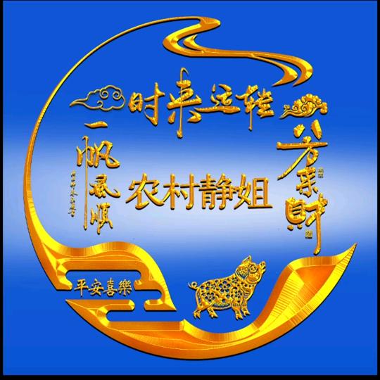 农村静姐