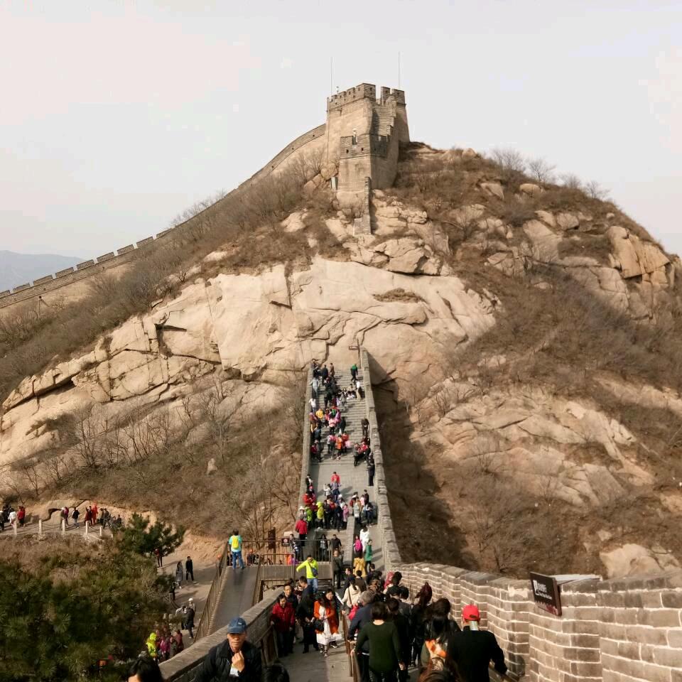 追求梦想