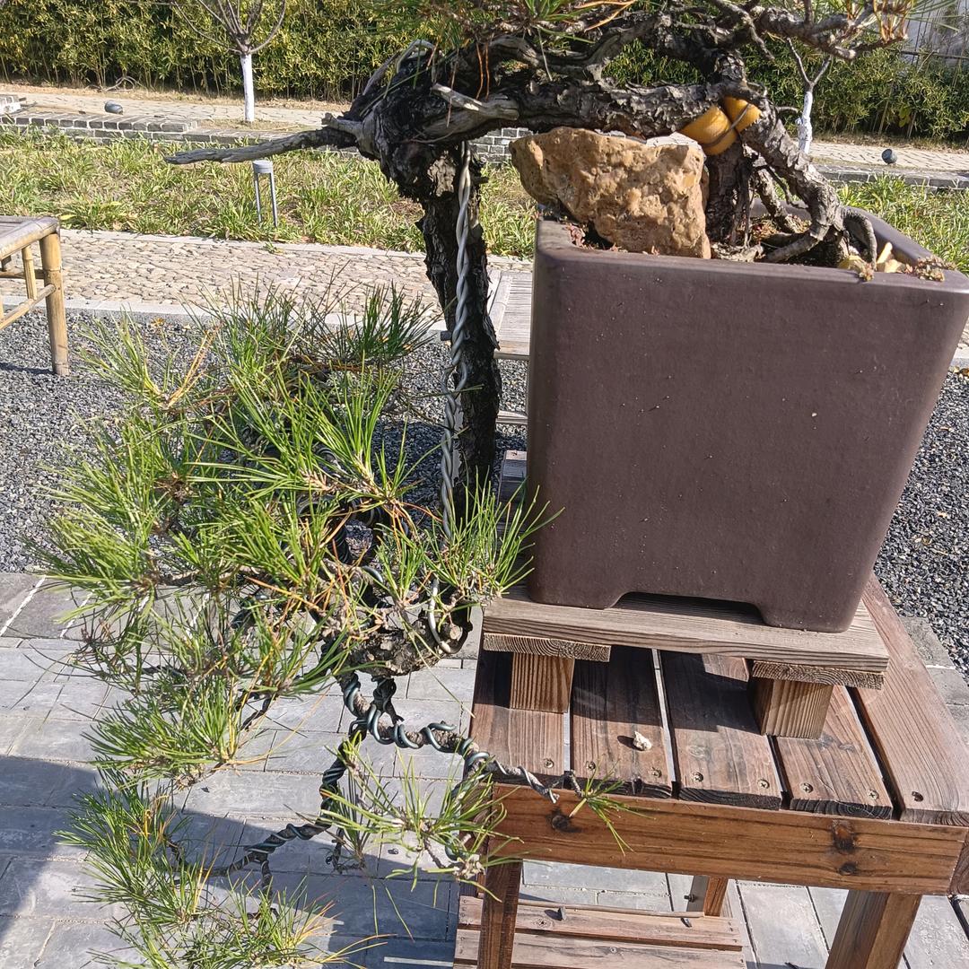 不要相信任何人