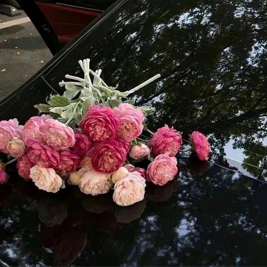 萍萍女装.