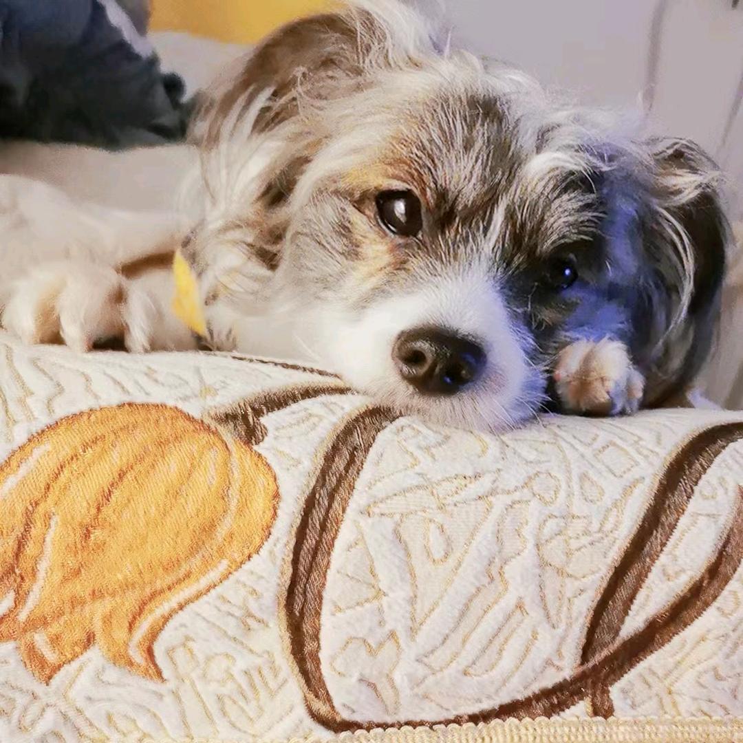 feng场做戏👻ᴮᴰ