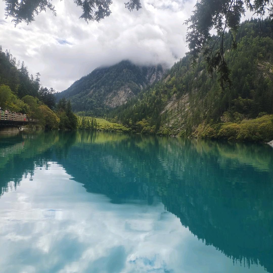 二零一五二一五