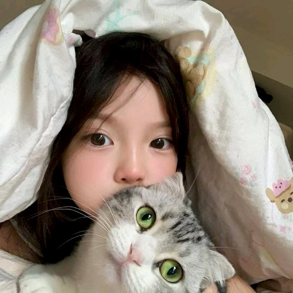 小慧宝