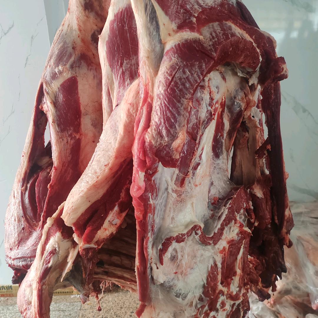 新疆毡房姑娘牛羊肉店