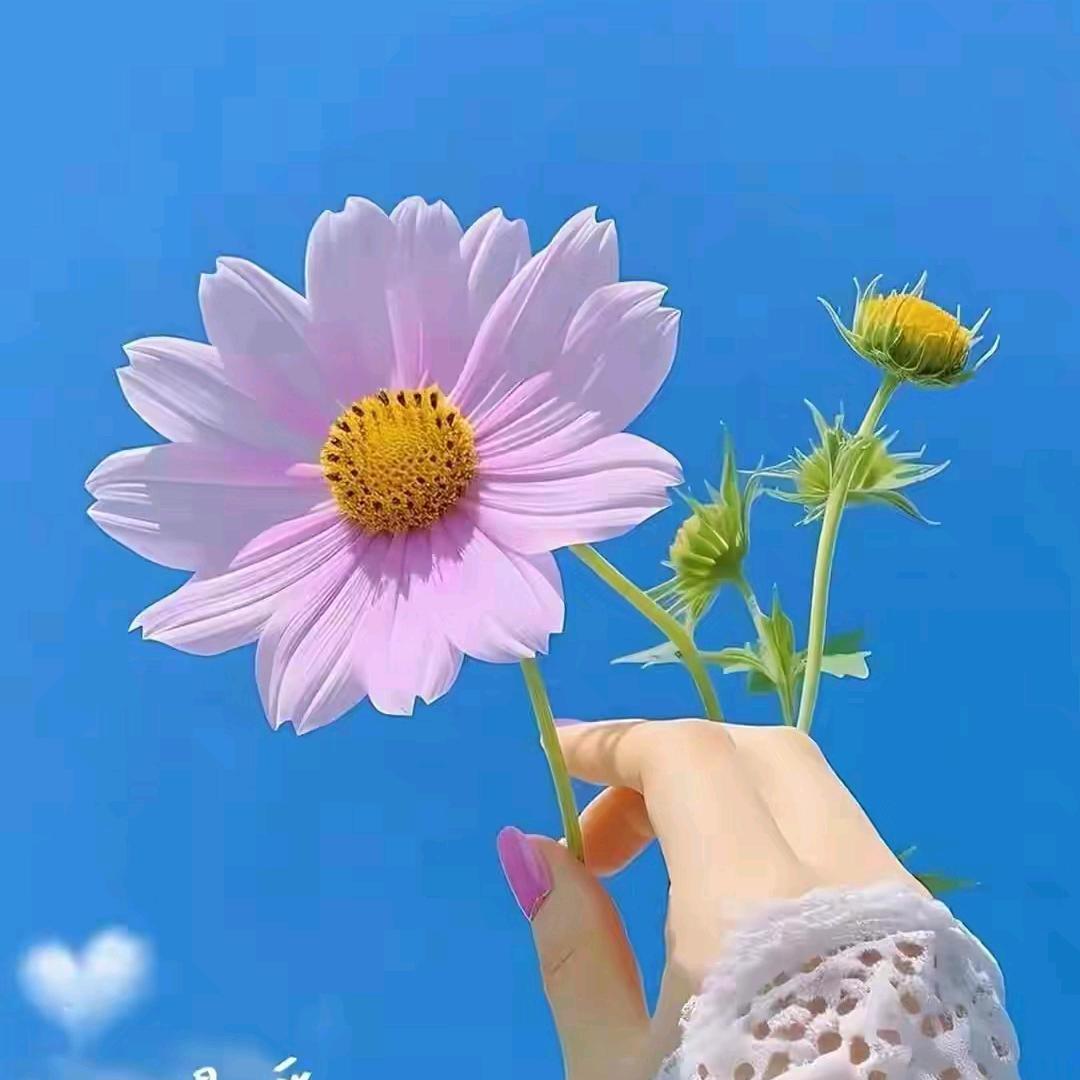 煜儿