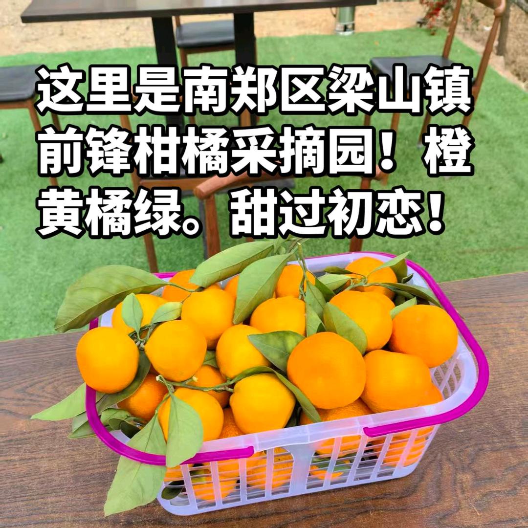 飞仔