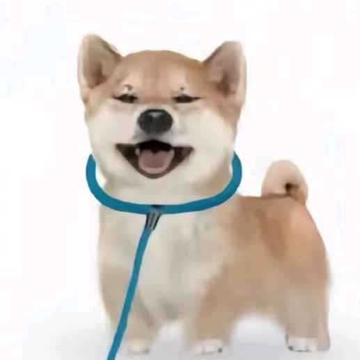 uu