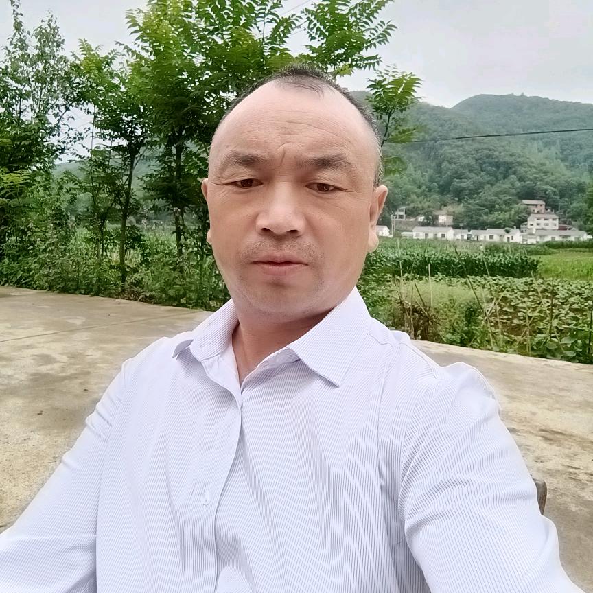 陈小林