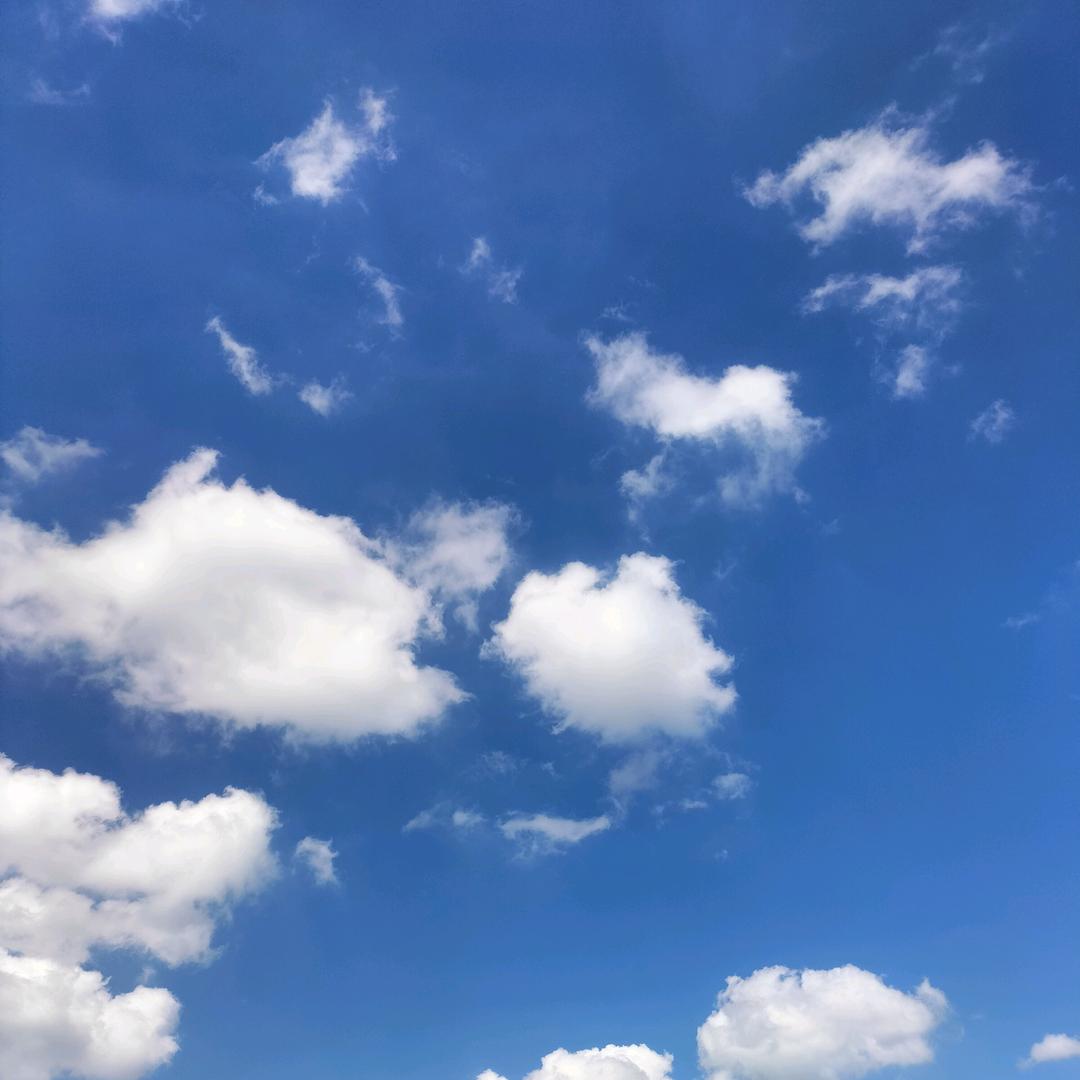 自建房    支模板