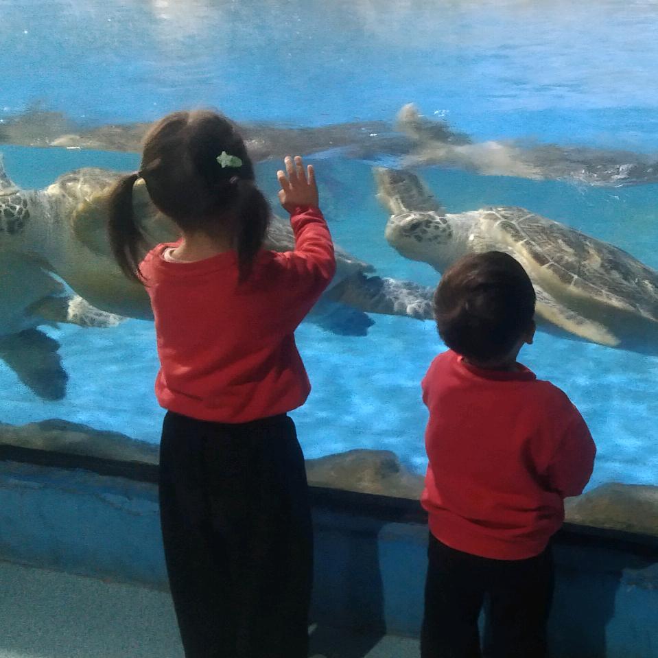 我的眼里都是雨