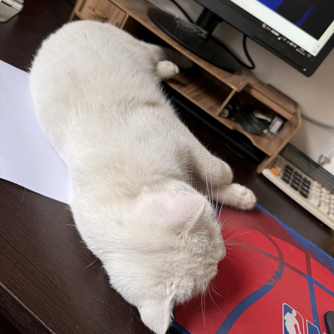 重生之摆烂牛马