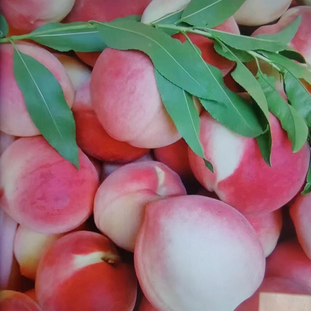 云上香客农产品甄选