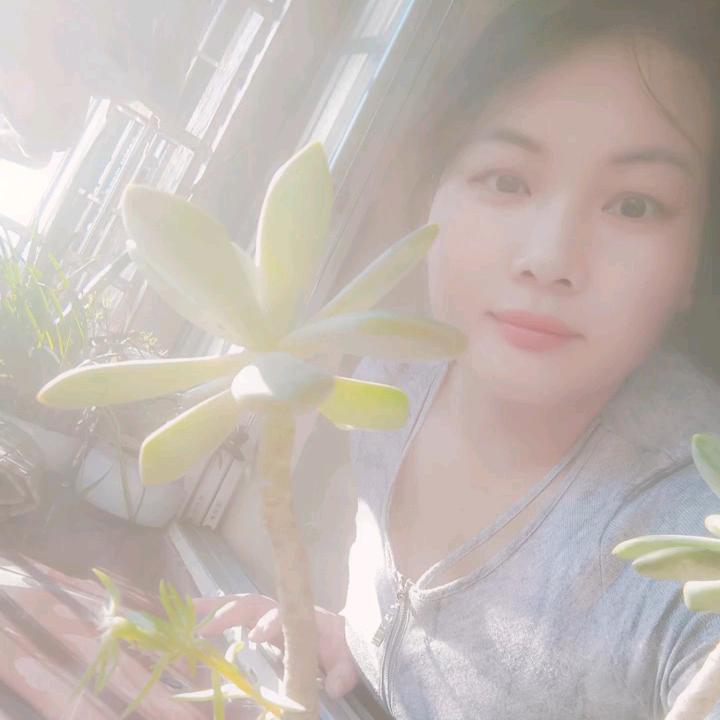 随意