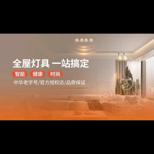 衡阳市石鼓区佛山照明经营部