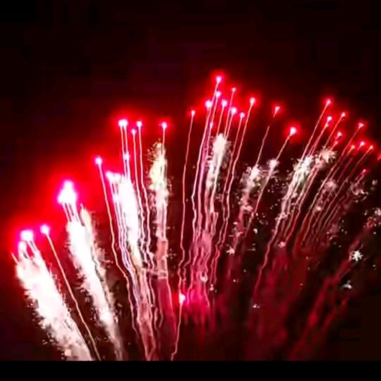 四个孙子的奶奶