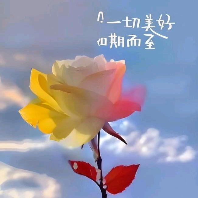 余生不将就