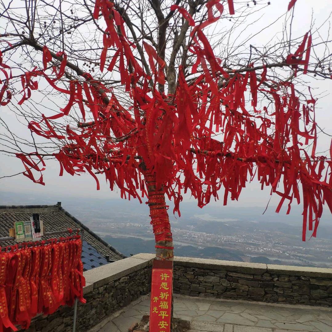 千里有哥