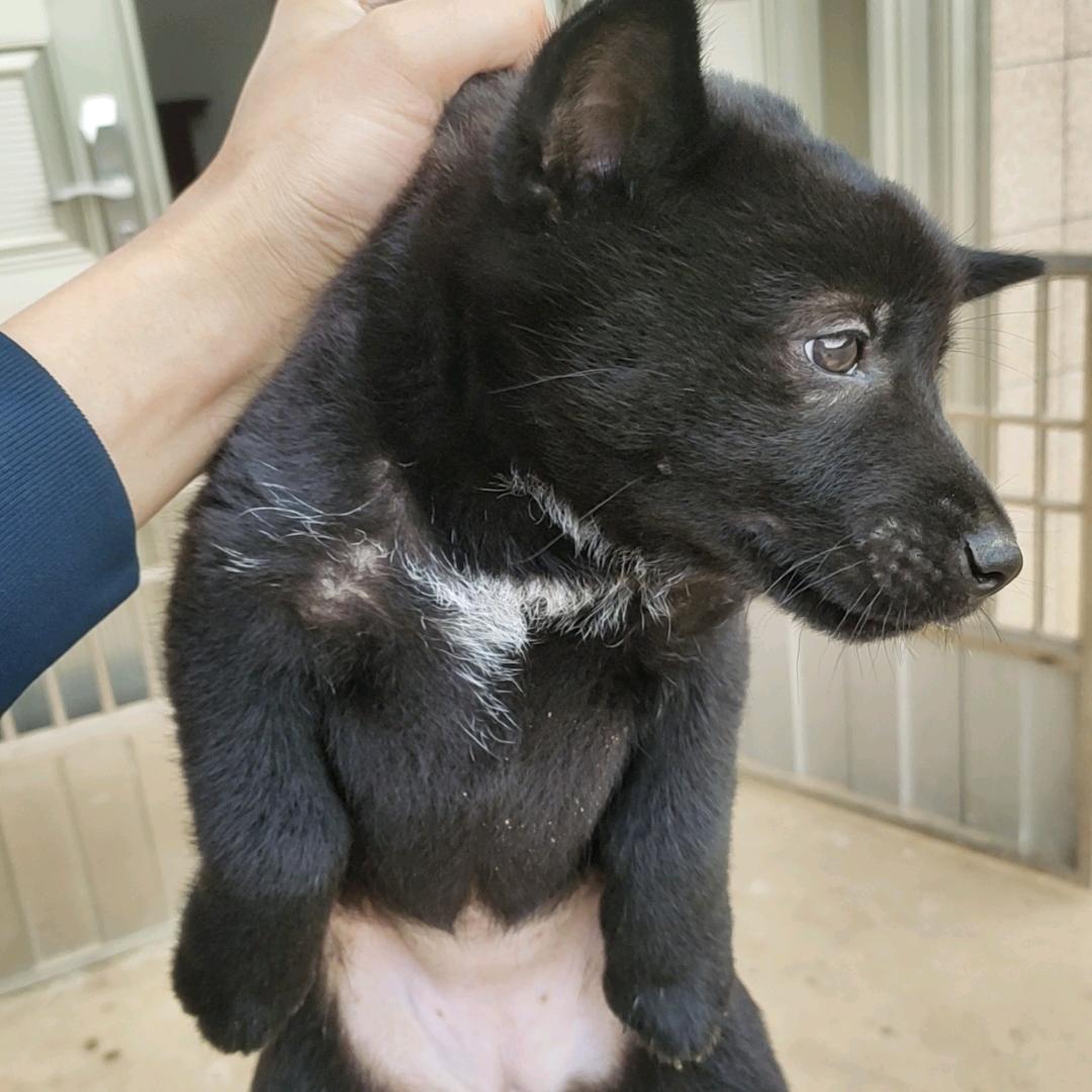 任意门的那一边