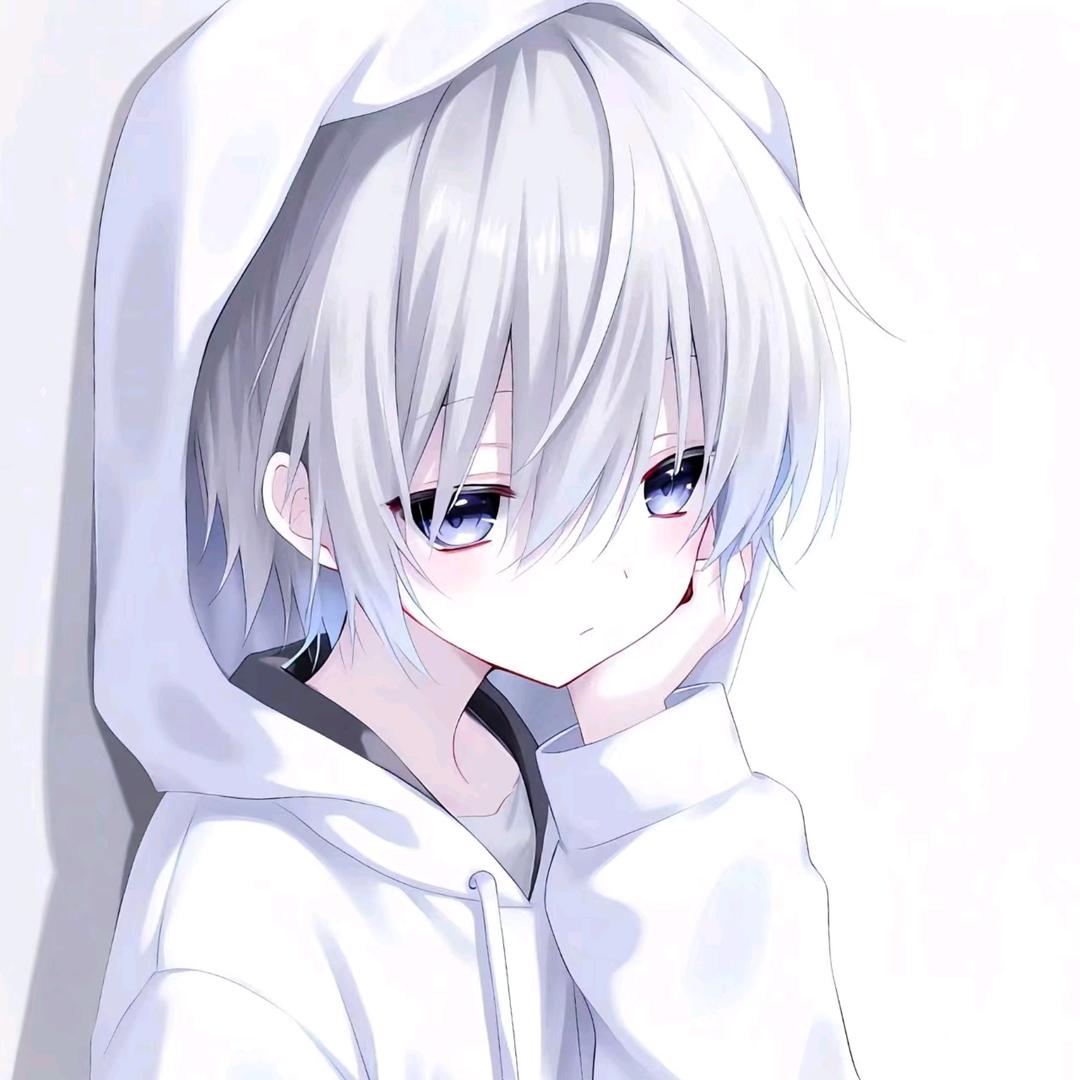 ୧⍤⃝王    🐾