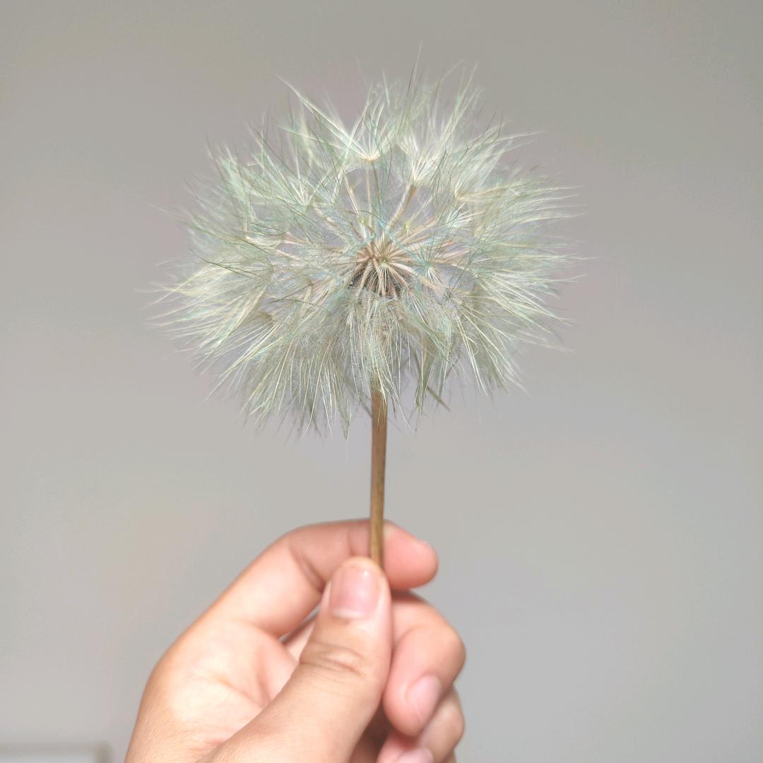 风月💫