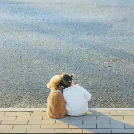 断魂