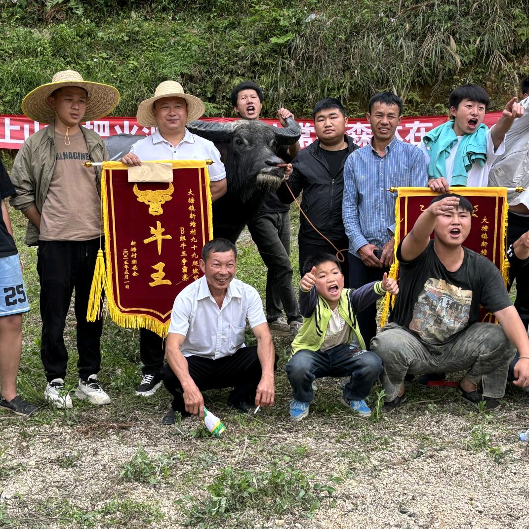 苗阿轩