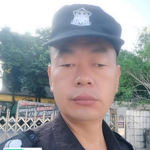 老杨Y